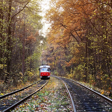 Прожить эту осень
