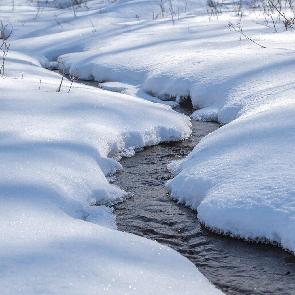 Над схваткой снега и ветров