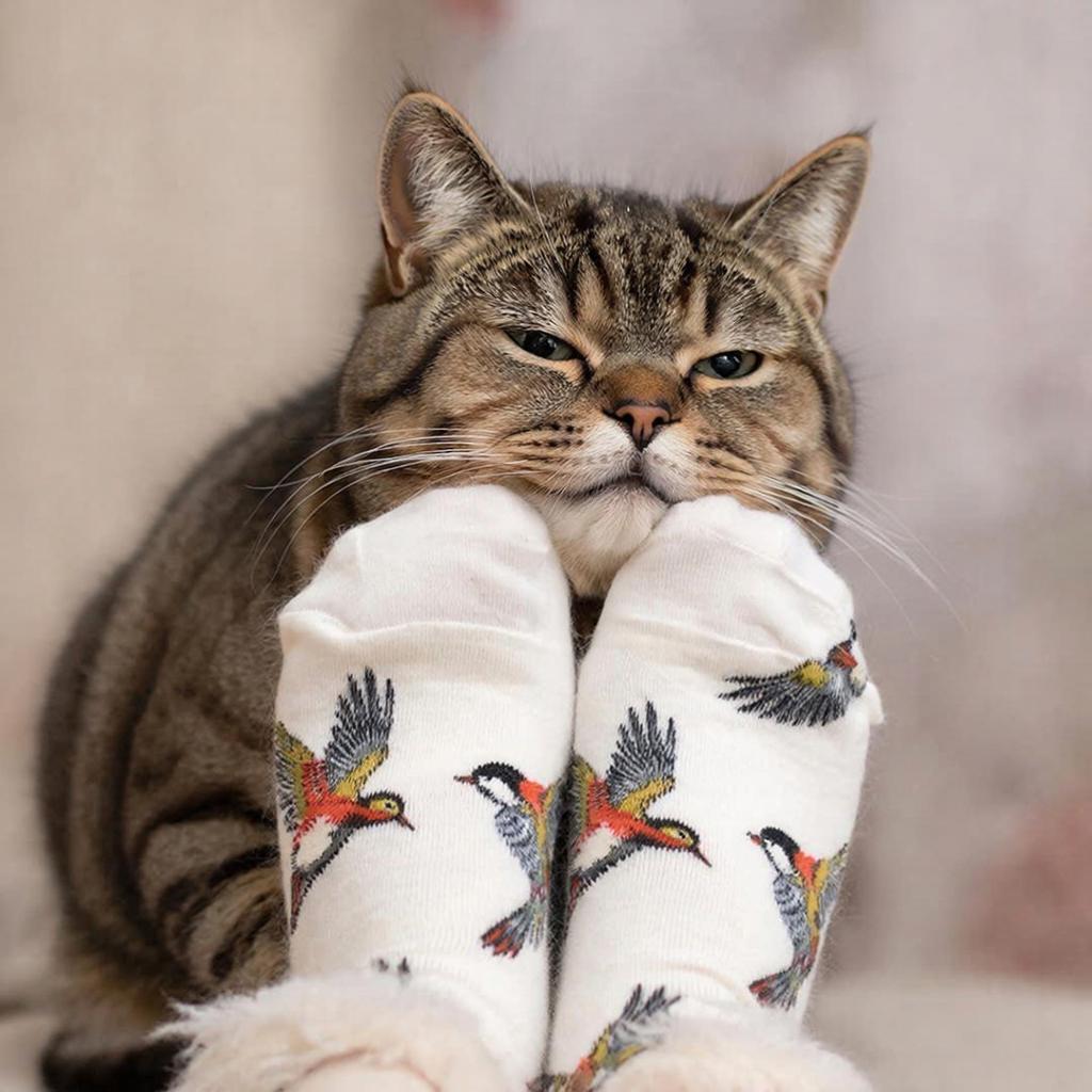 Два прекрасных носочка