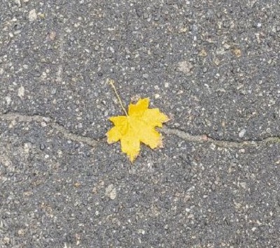 Там, за серой стеной октября...