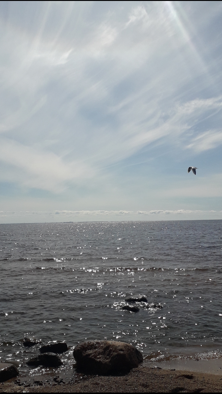 Замирает душа, замирает