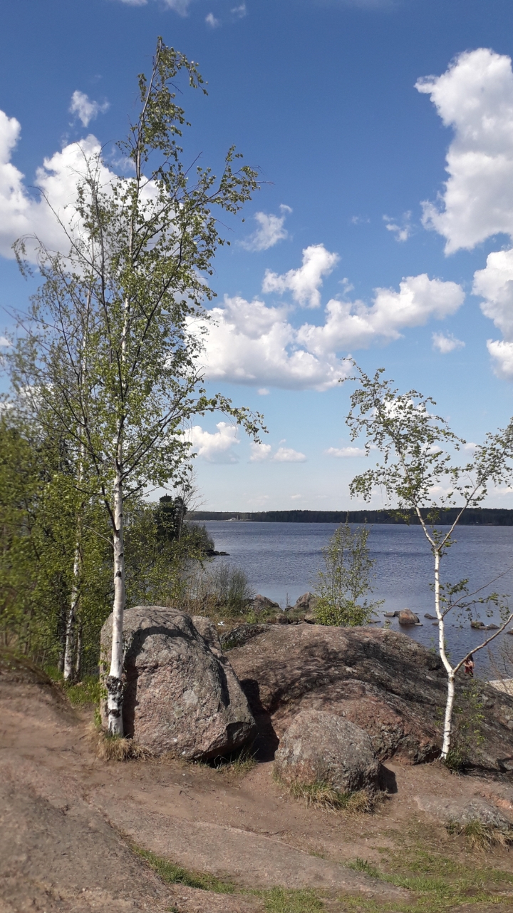 Поэзия каней над чашею пролива