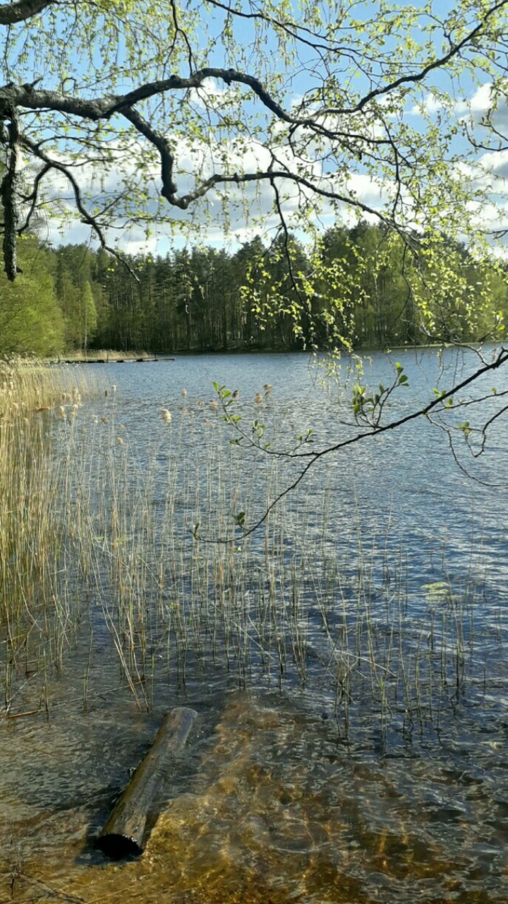 Не мудрствовать, не думать, не спешить