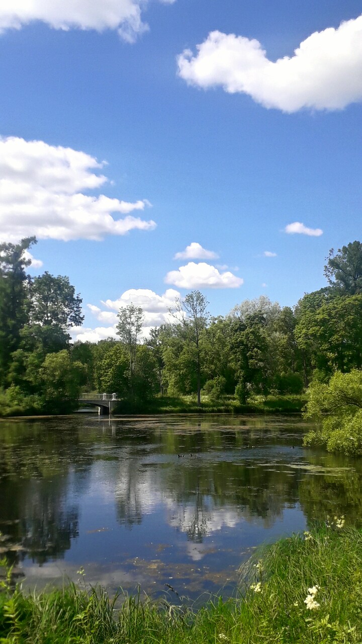 В озёрных водах отраженье