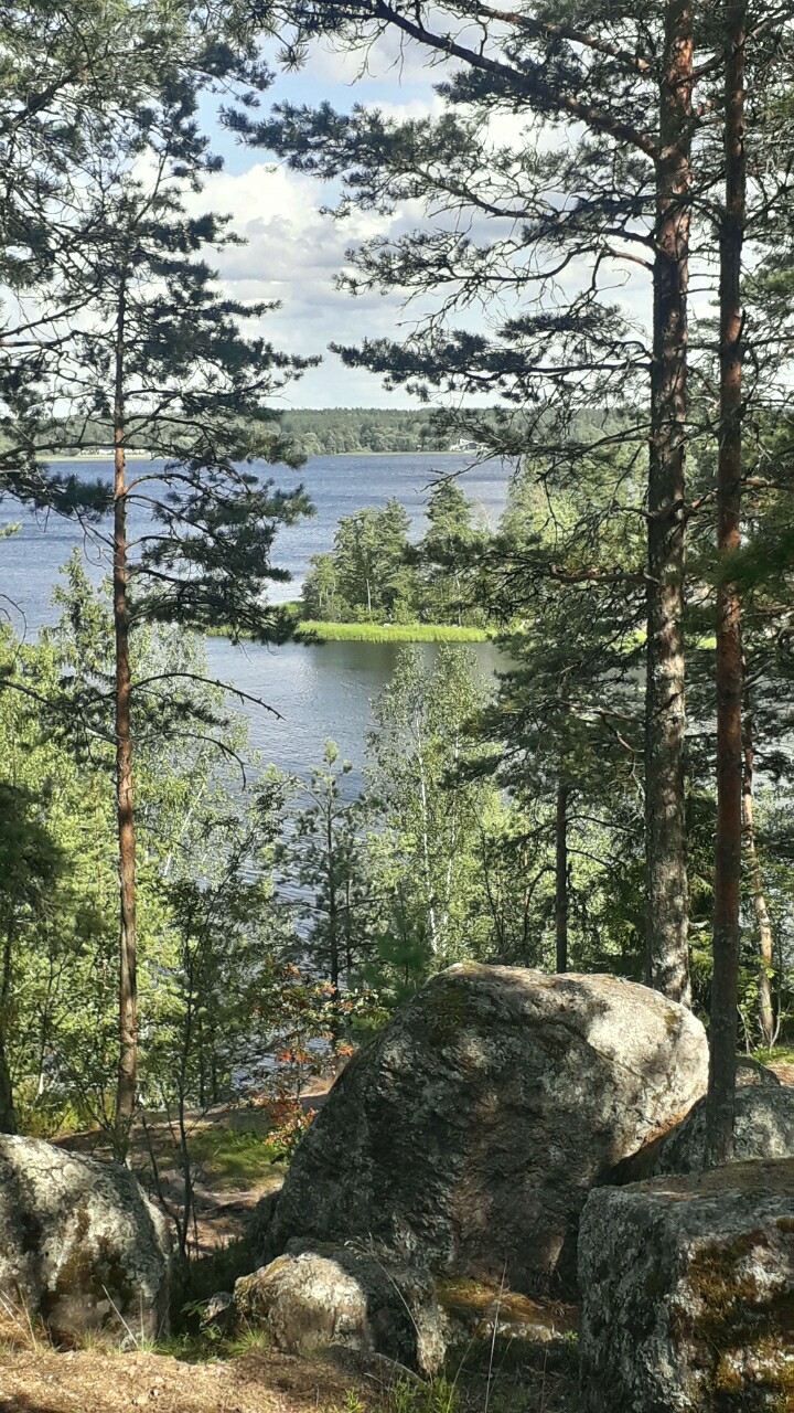 Я на скале суровой и высокой