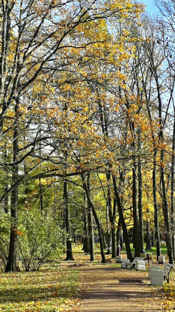 Поброжу я по тихии аллеям
