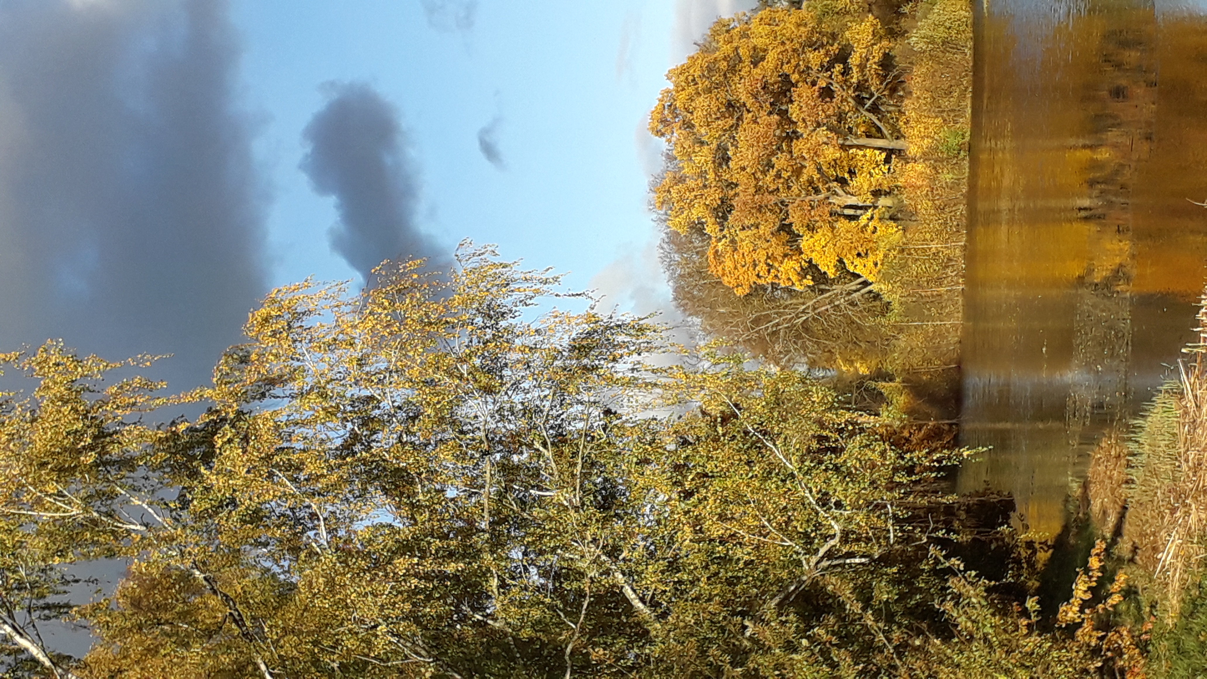 Листвой играла осень в парке