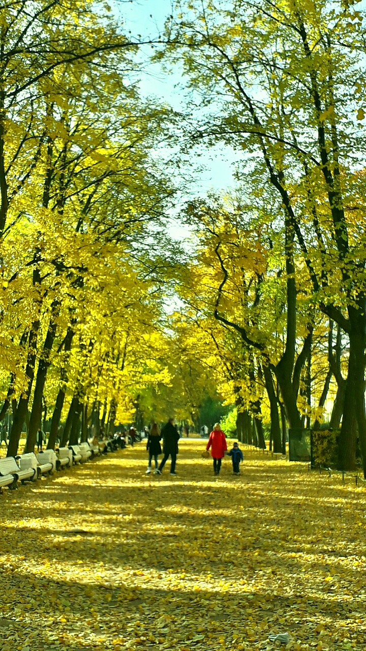 А в Петербурге мокрая погода