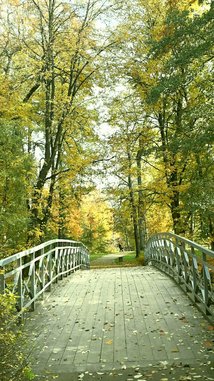 Окропила осень землю позолотой