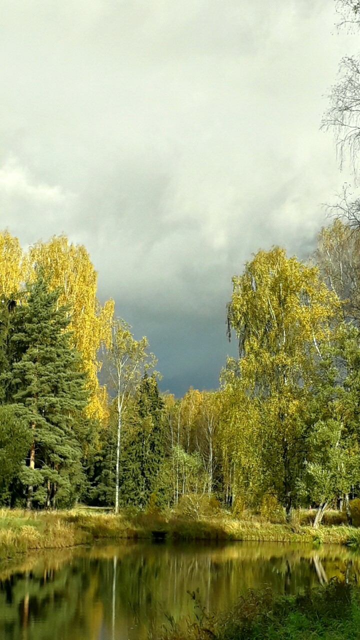 Осенних дней очарованья