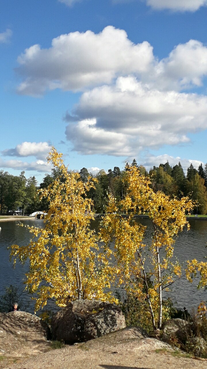 Тихо бродит осень между скал и сосен