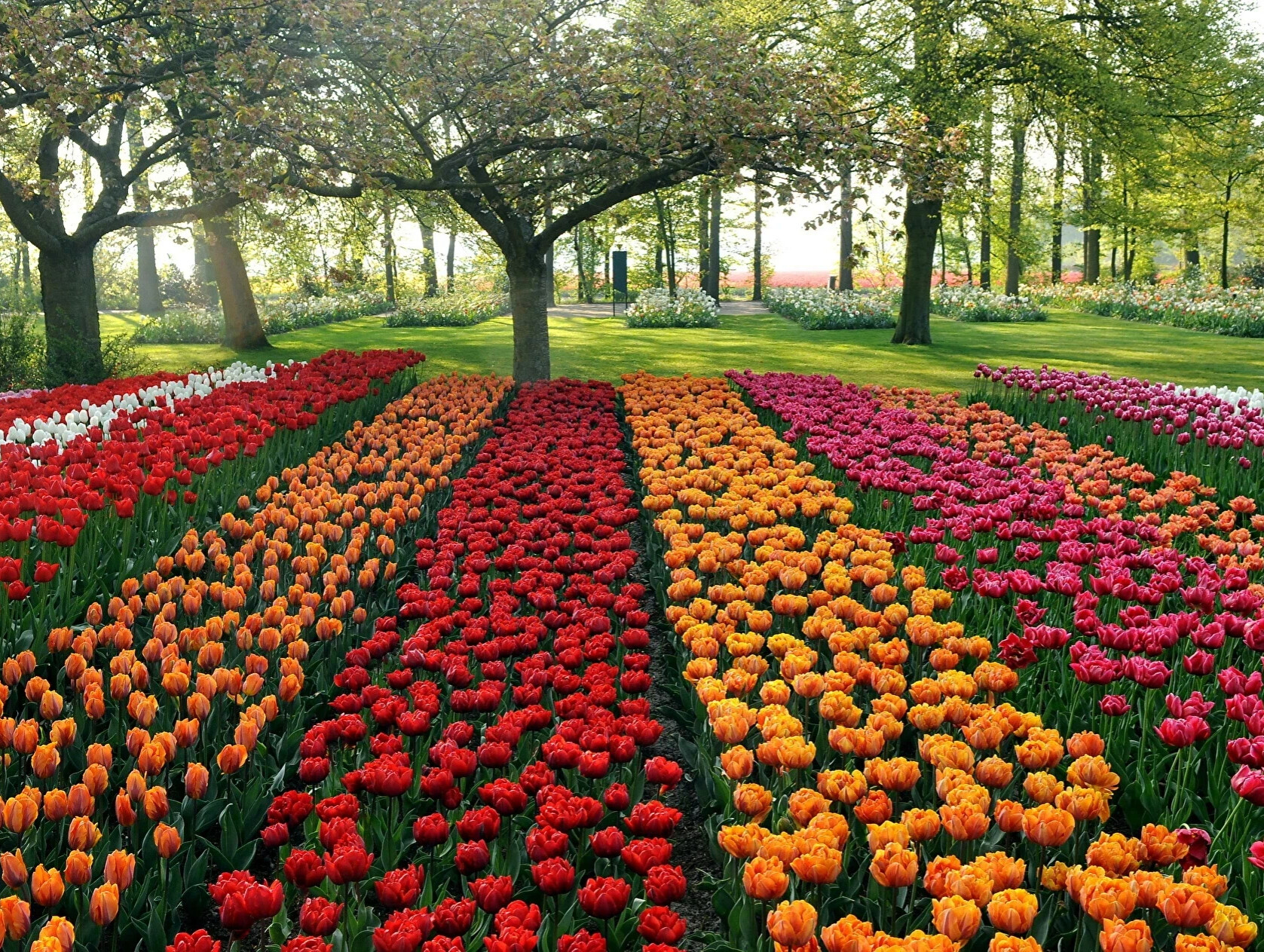 Всем Девушкам