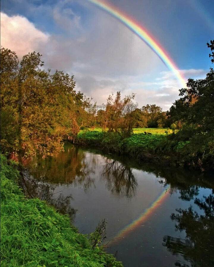 Счастье Рядом
