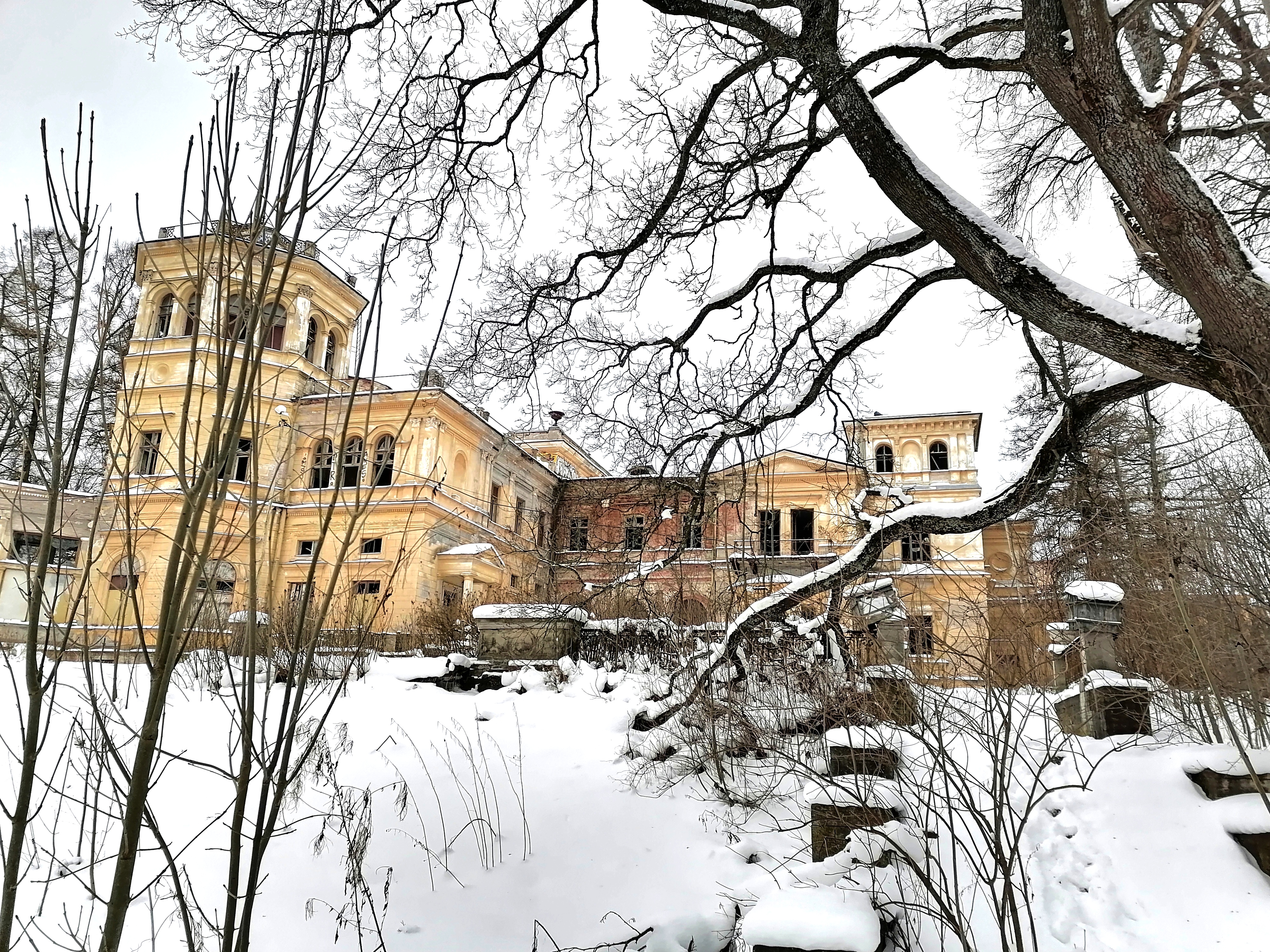 Михайловская дача