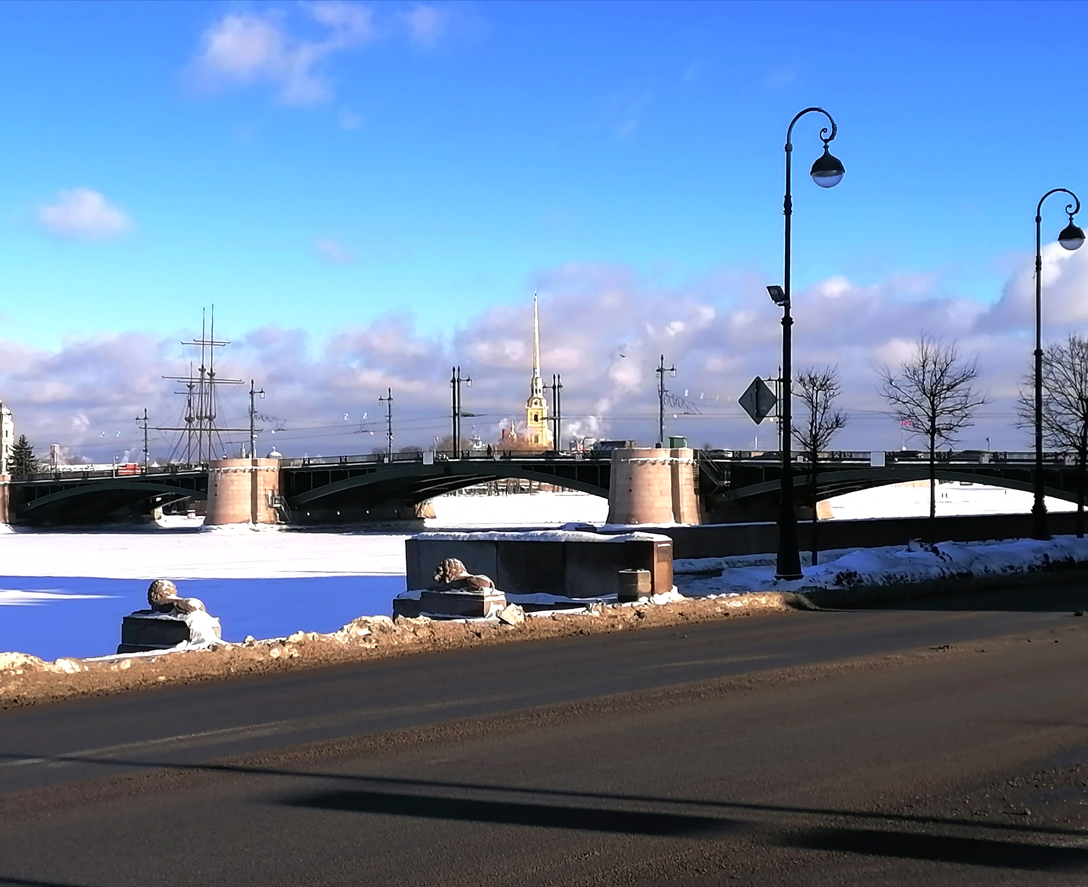 У Пушкинского Дома 