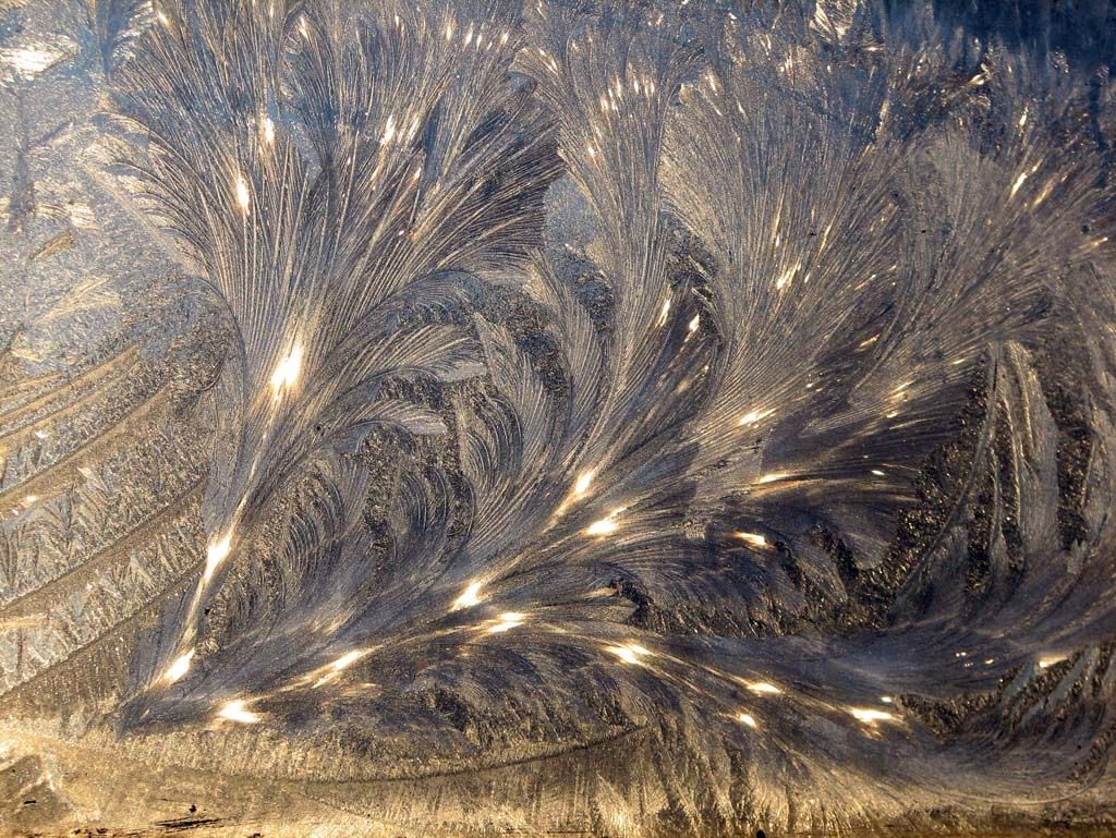 "В разноцветных стеклах..."