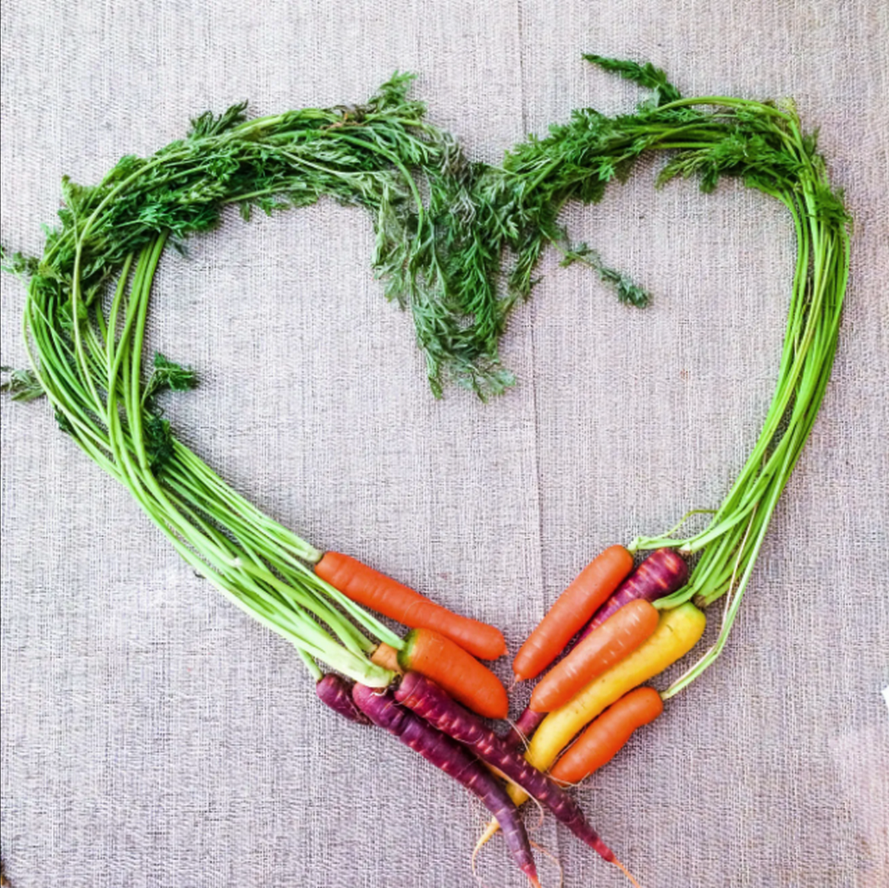 «"Любовь" рифмуется с "морковь"...» 