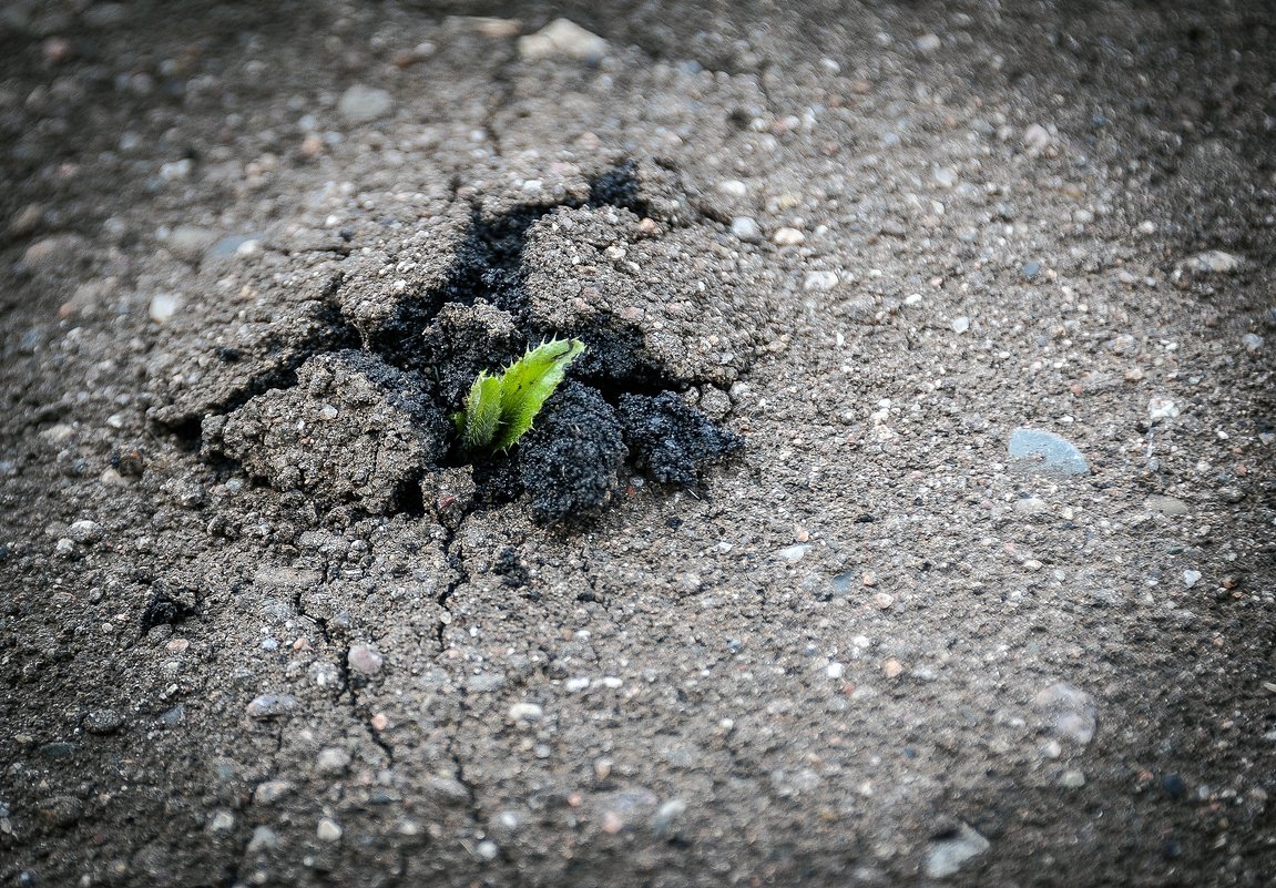 "Память – лучший друг..."