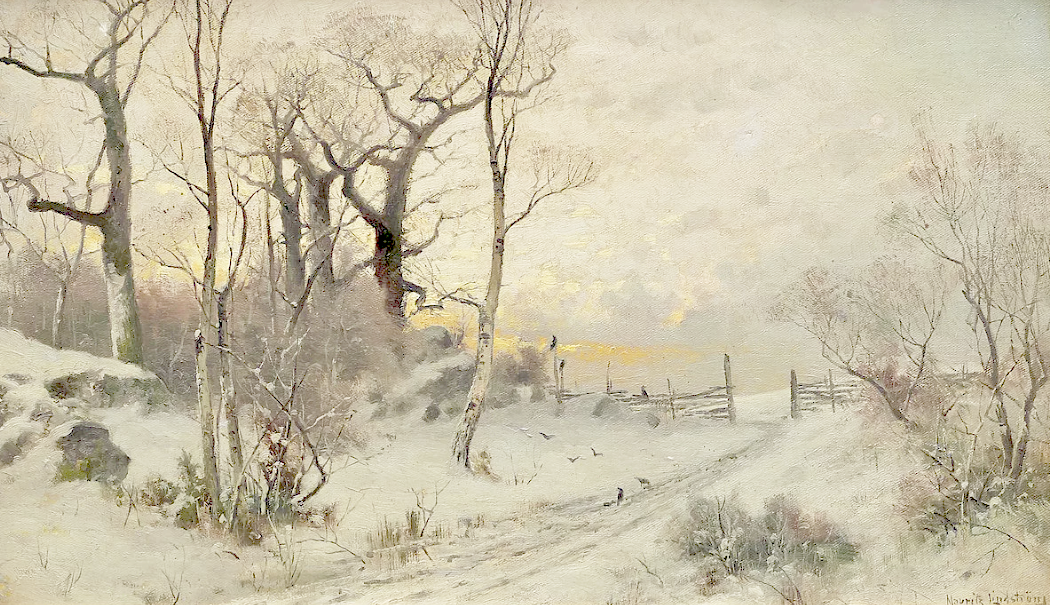 "Зимой всё белое, коричневое, черное..."