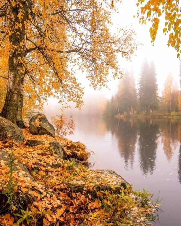 В ожидании Осени