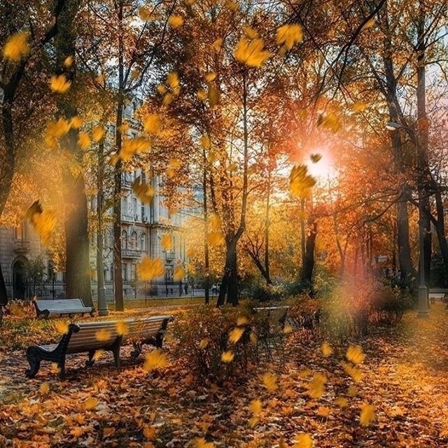 «Прогулочный»