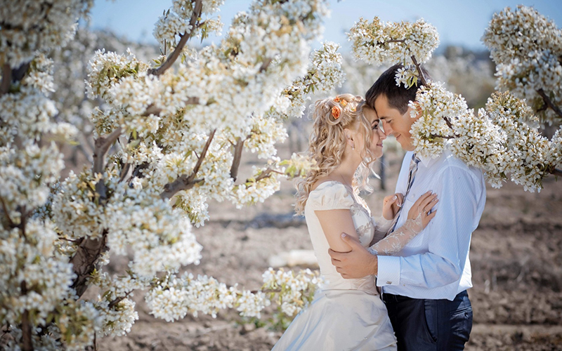 Ах, черёмуха!