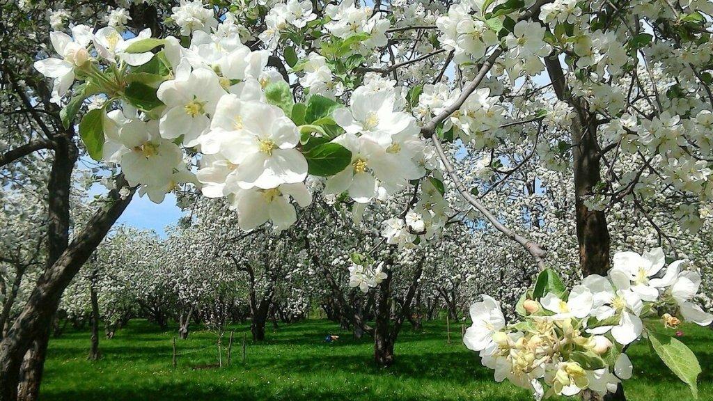 А без тебя в душе темно...