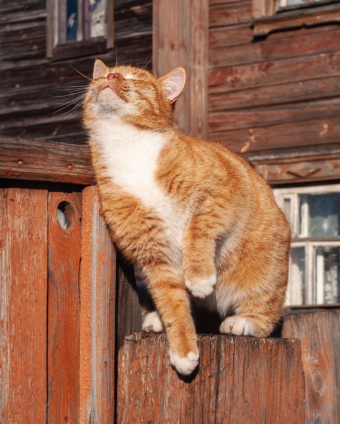 Настроение