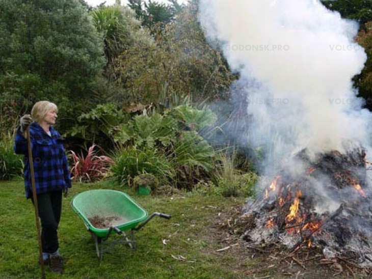 Календарная дата