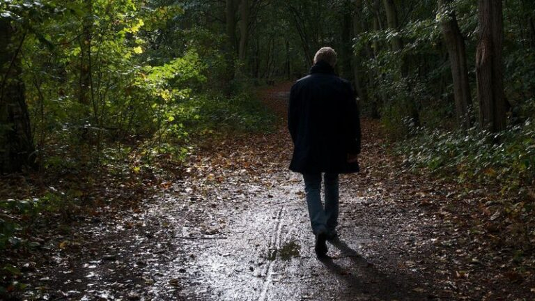 Осенние мотивы