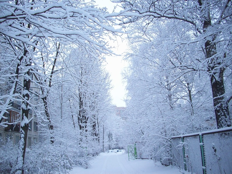 Пора закончиться зиме 