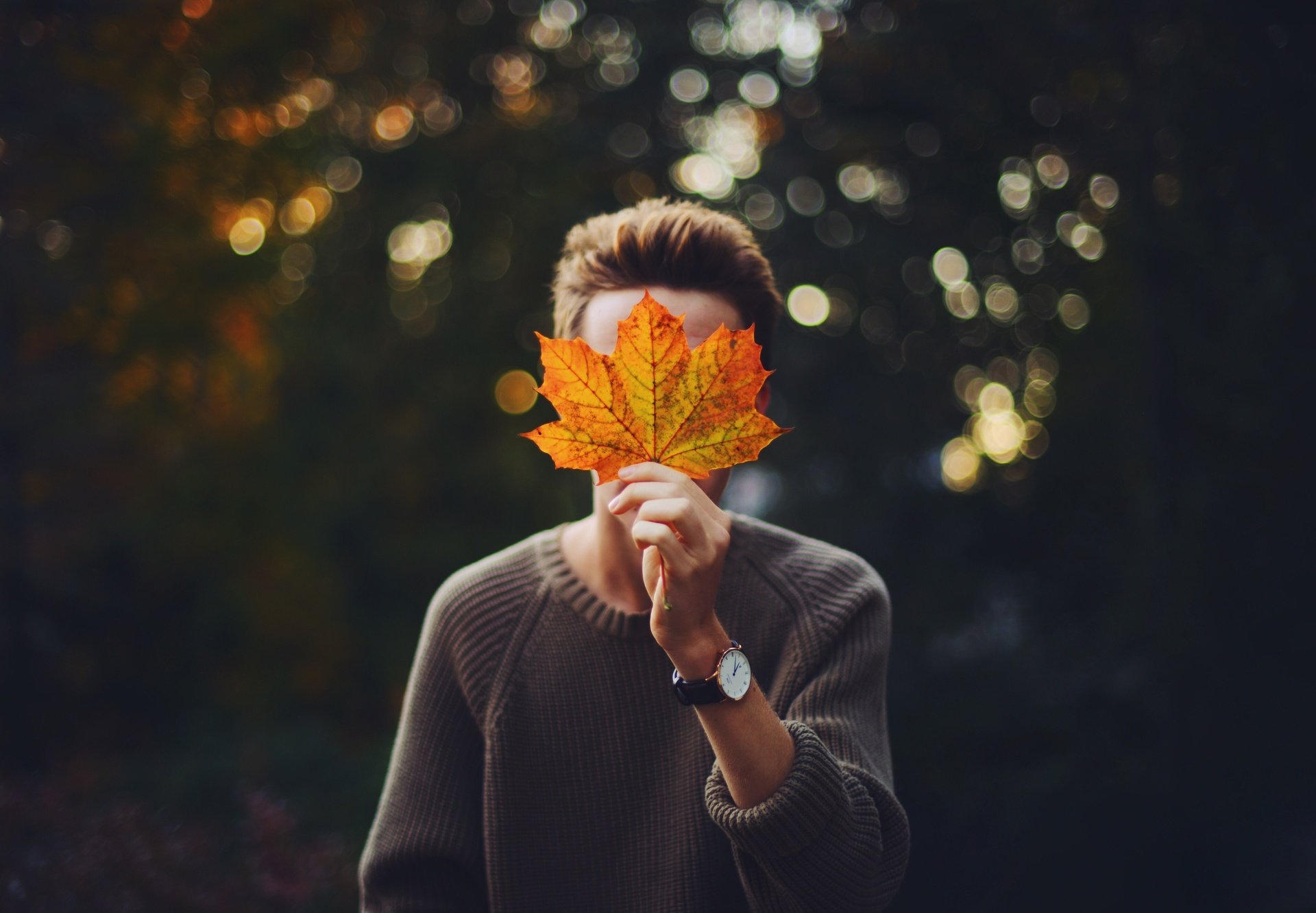 Осенняя мудрость 