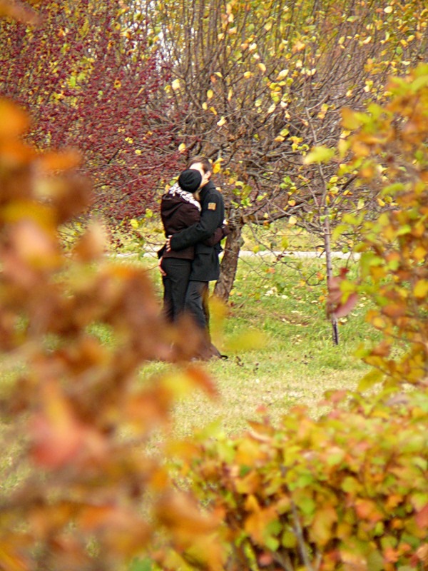 Первый полёт