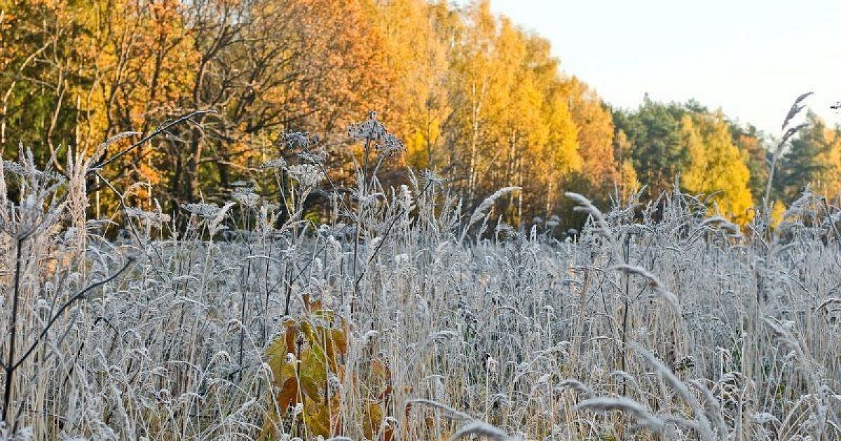Между осенью и зимой