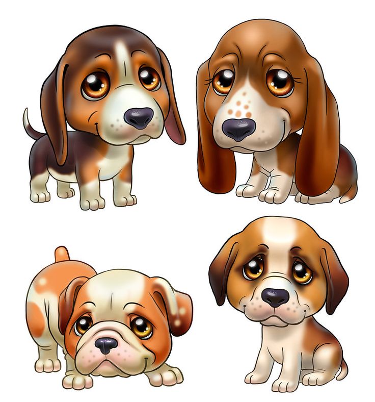 Щенки ищут дом