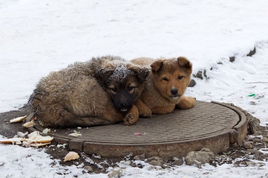 На брошенной дорожке