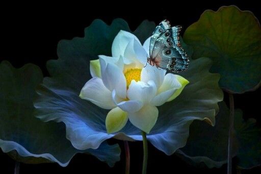 Спокойный ум... 