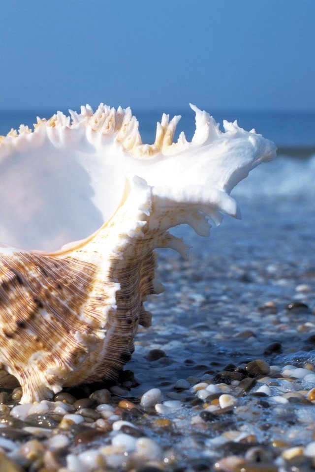 Что остаётся от моря... 