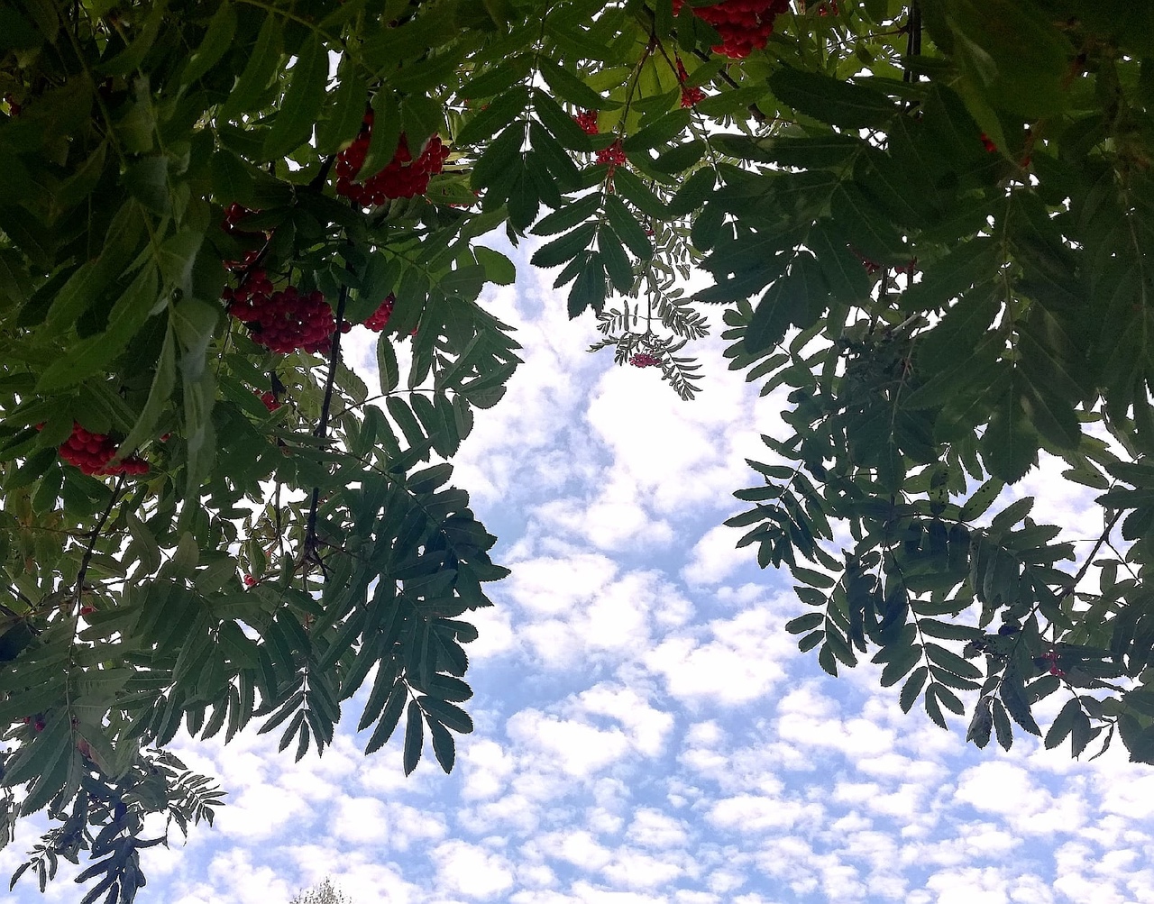 Рябо, любо....