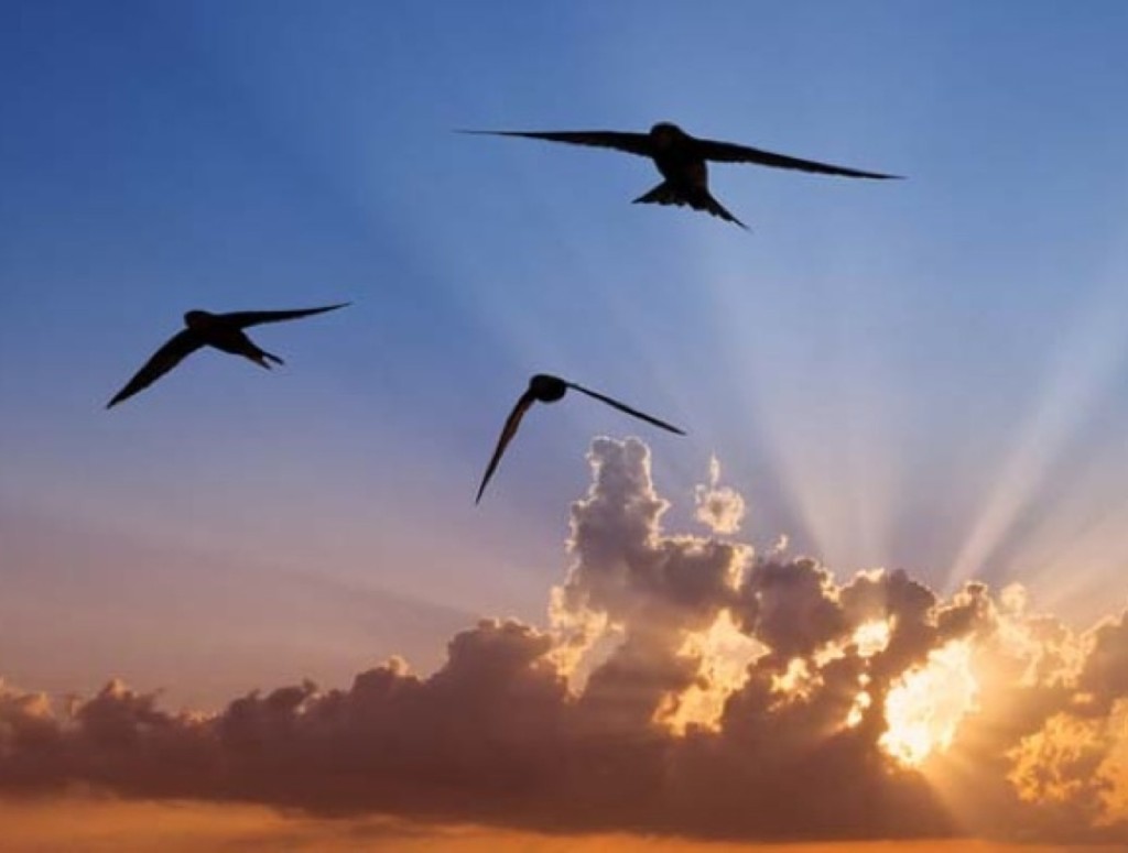 Всё вперед идёт быстрей...