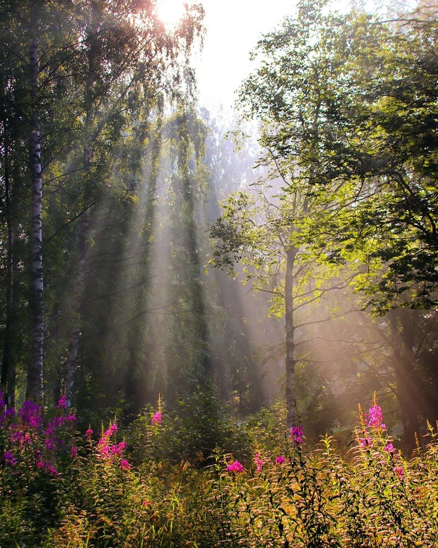 Утро, как первый шаг ребёнка...