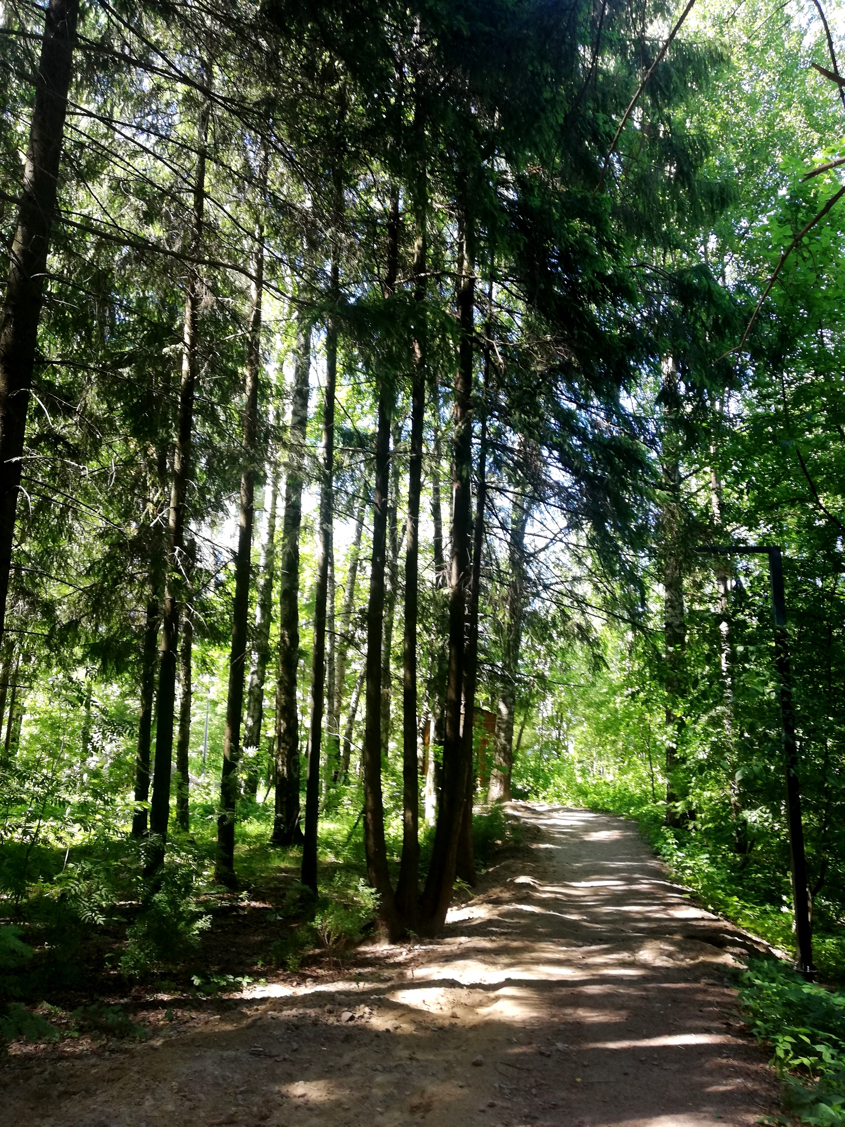 По ребру дня 