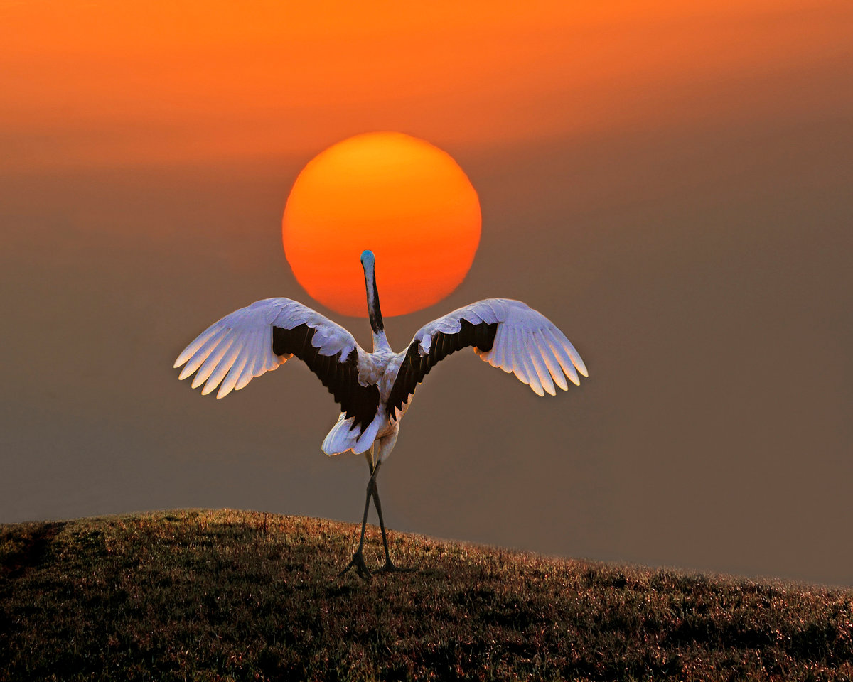 Начало осени пришло случайно...