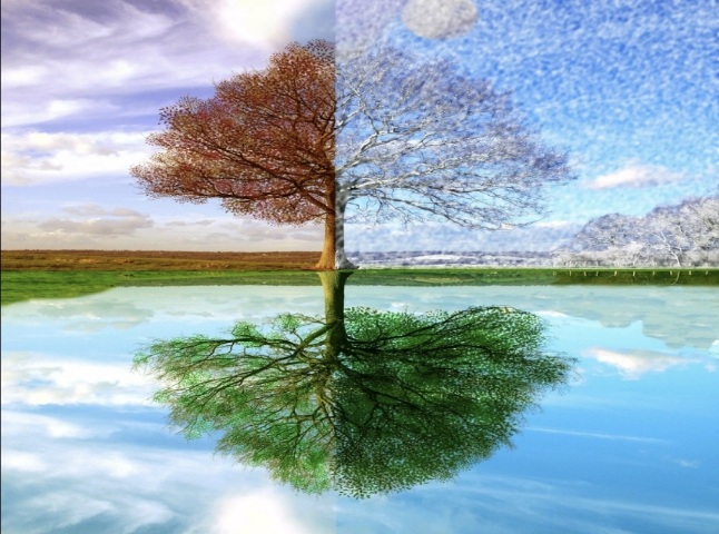 Беседа на фоне...