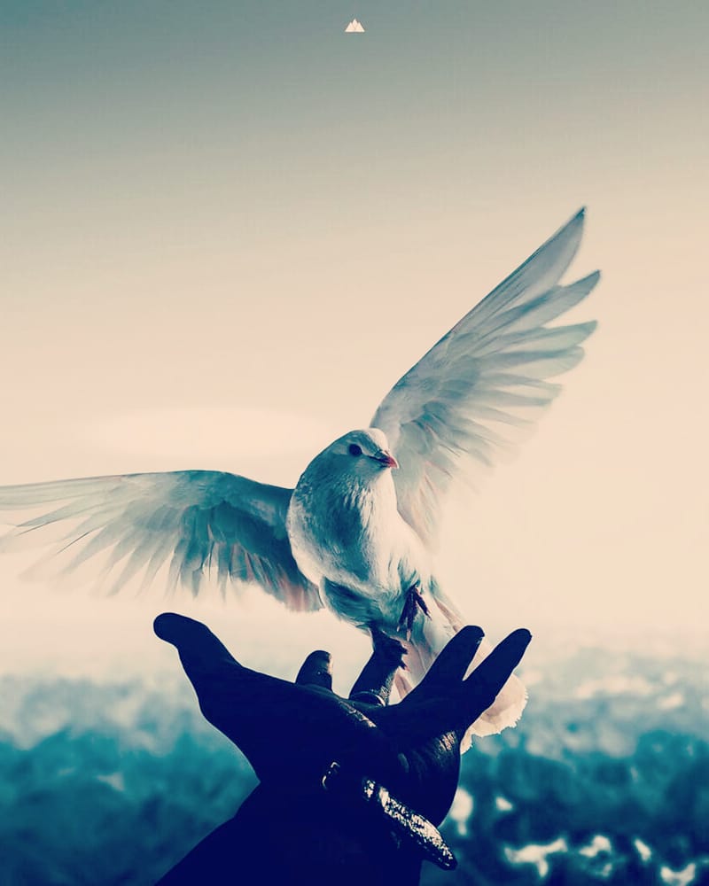 ~Тонкие материи~