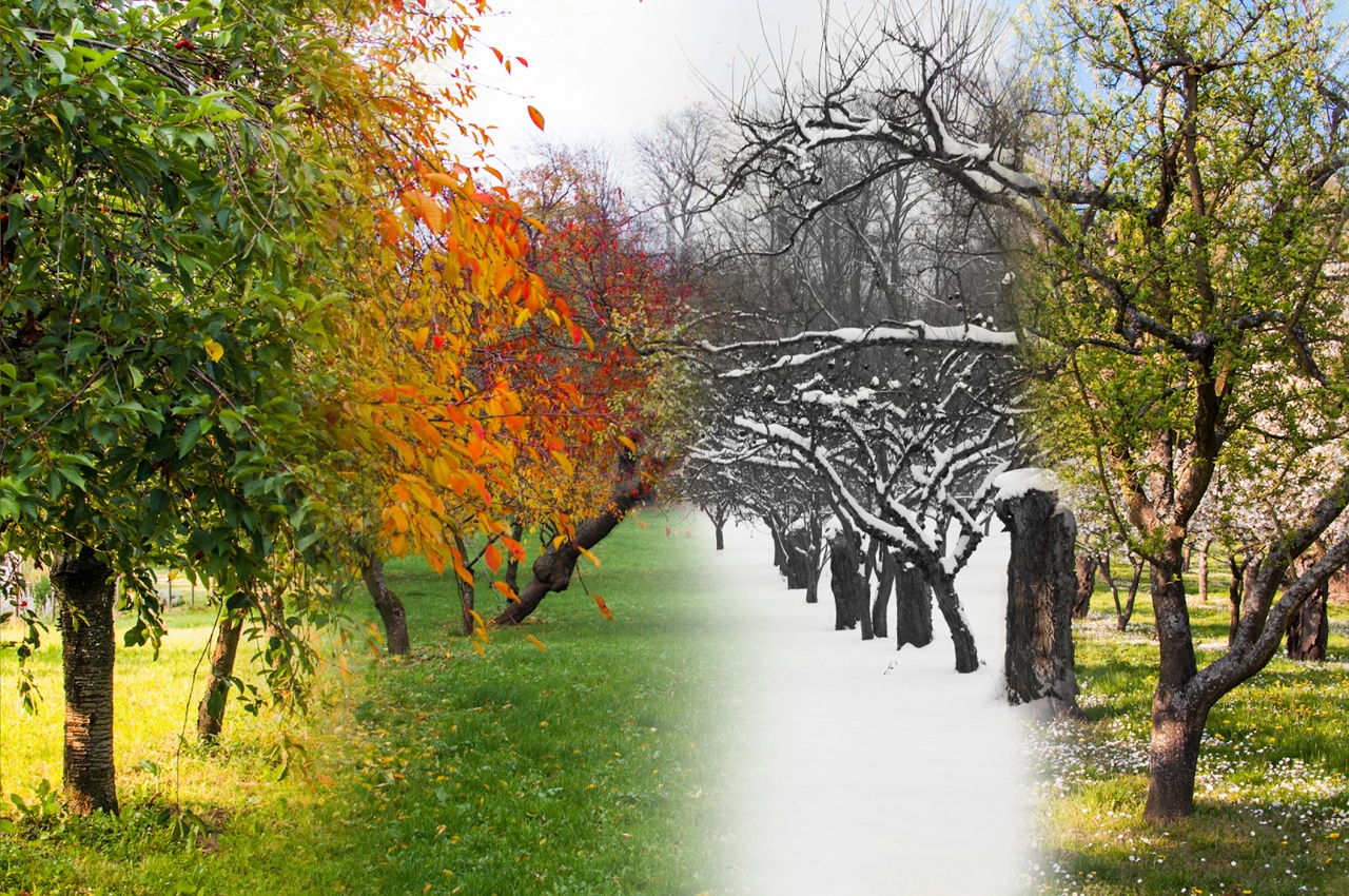 Мне нравится зима, люблю я осень