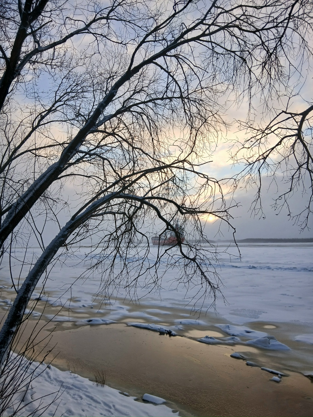 Побелело чисто поле