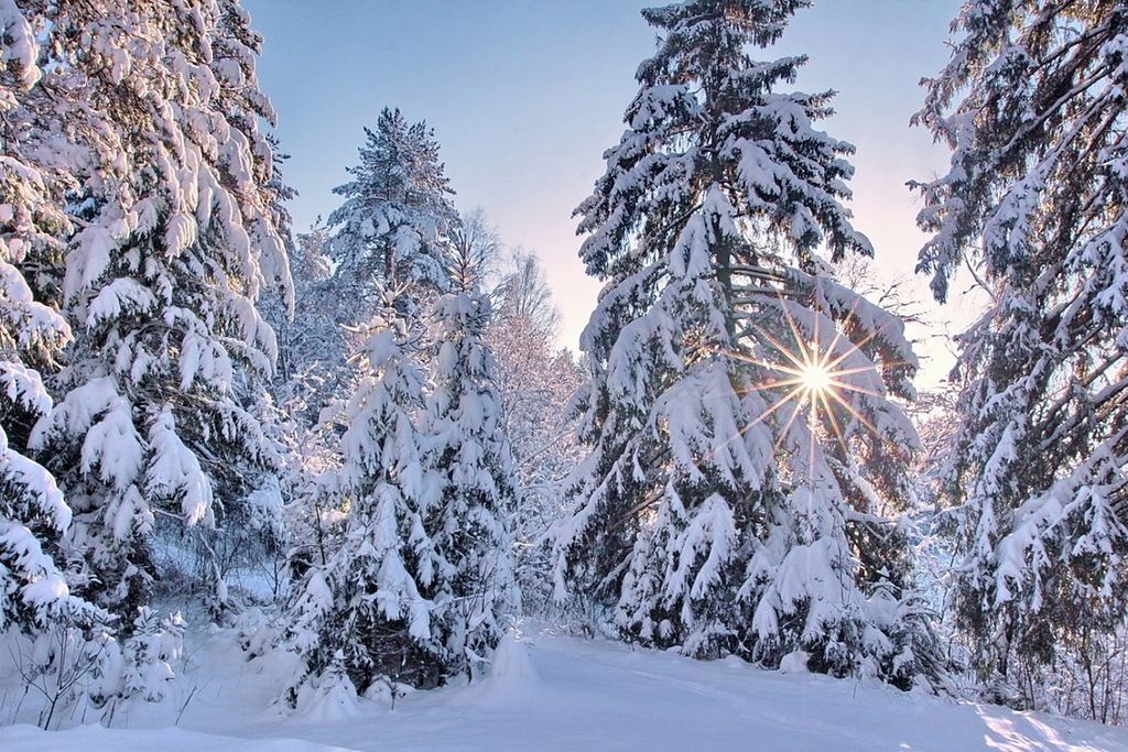 Блестит зима