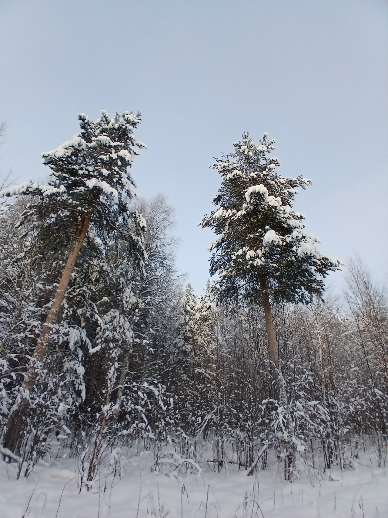 Счастья миг