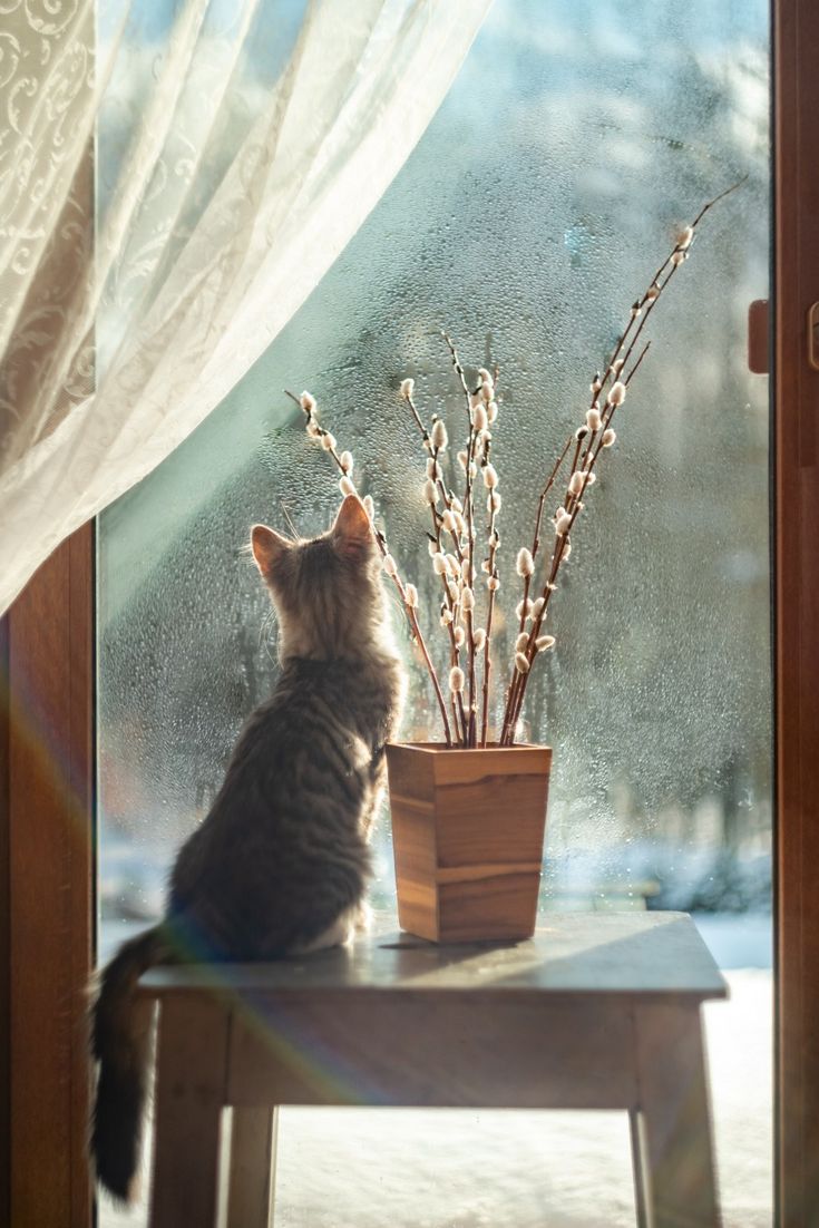 За окошком месяц март